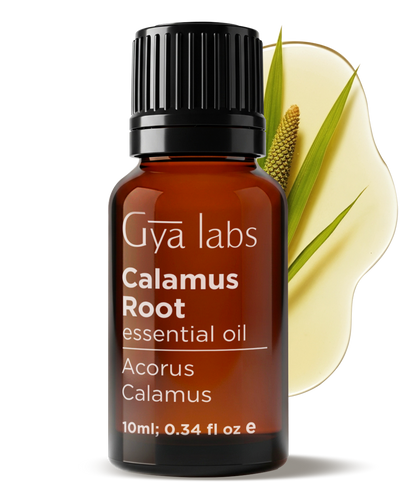 Calamus Root Essential Oil

