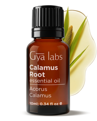 Calamus Essential Oil