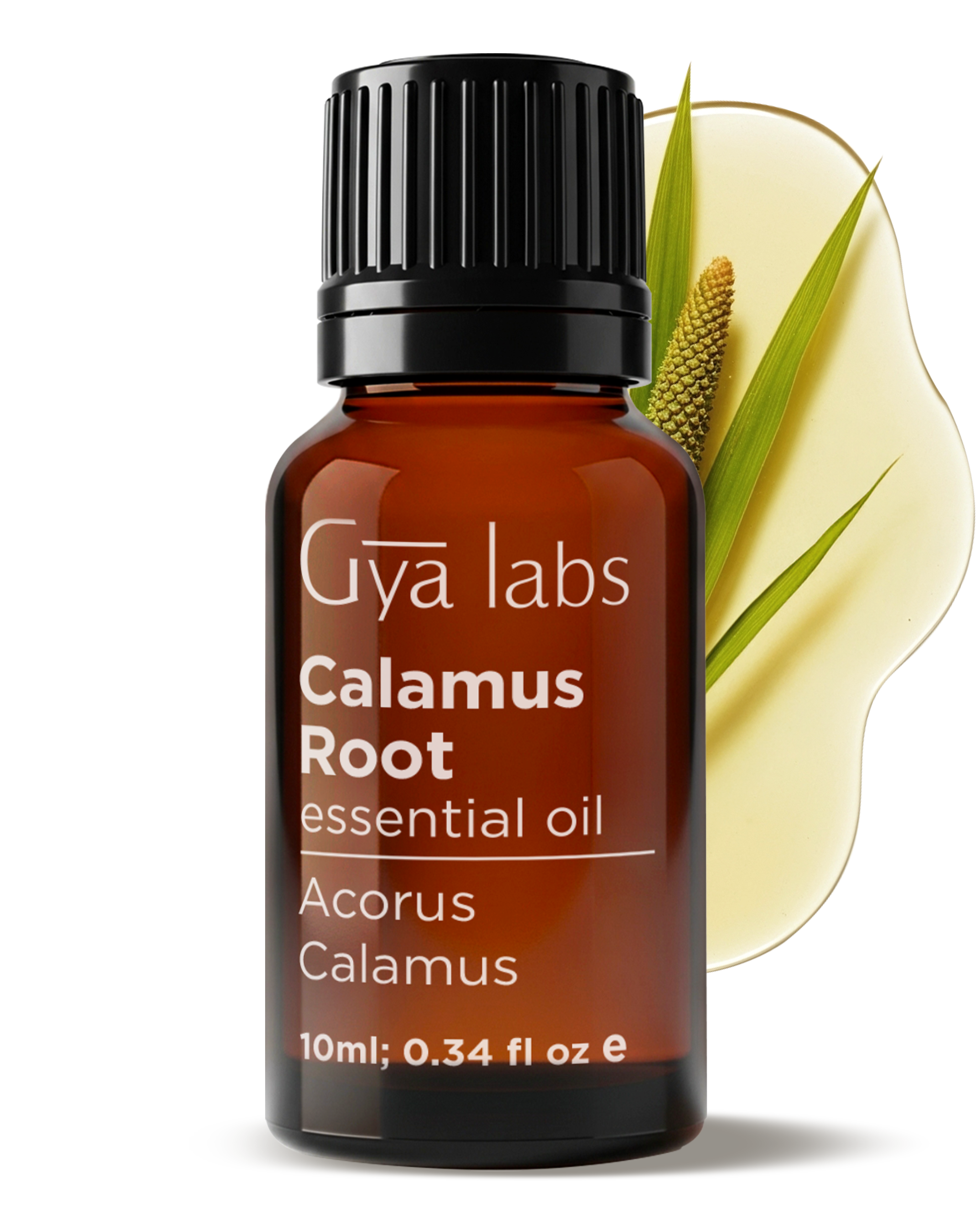 Calamus Essential Oil
