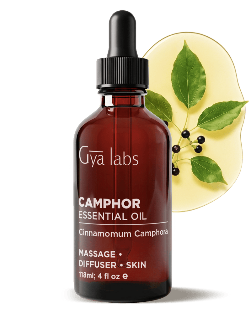 Camphor Oil | GyaLabs