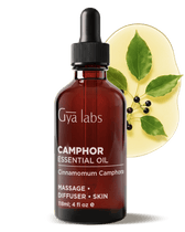 Camphor Oil | GyaLabs