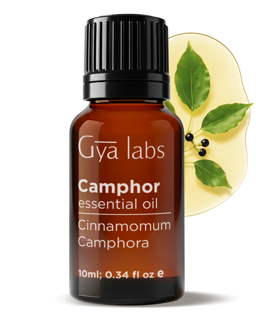 Camphor Essential Oil
