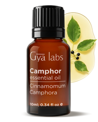Camphor Oil