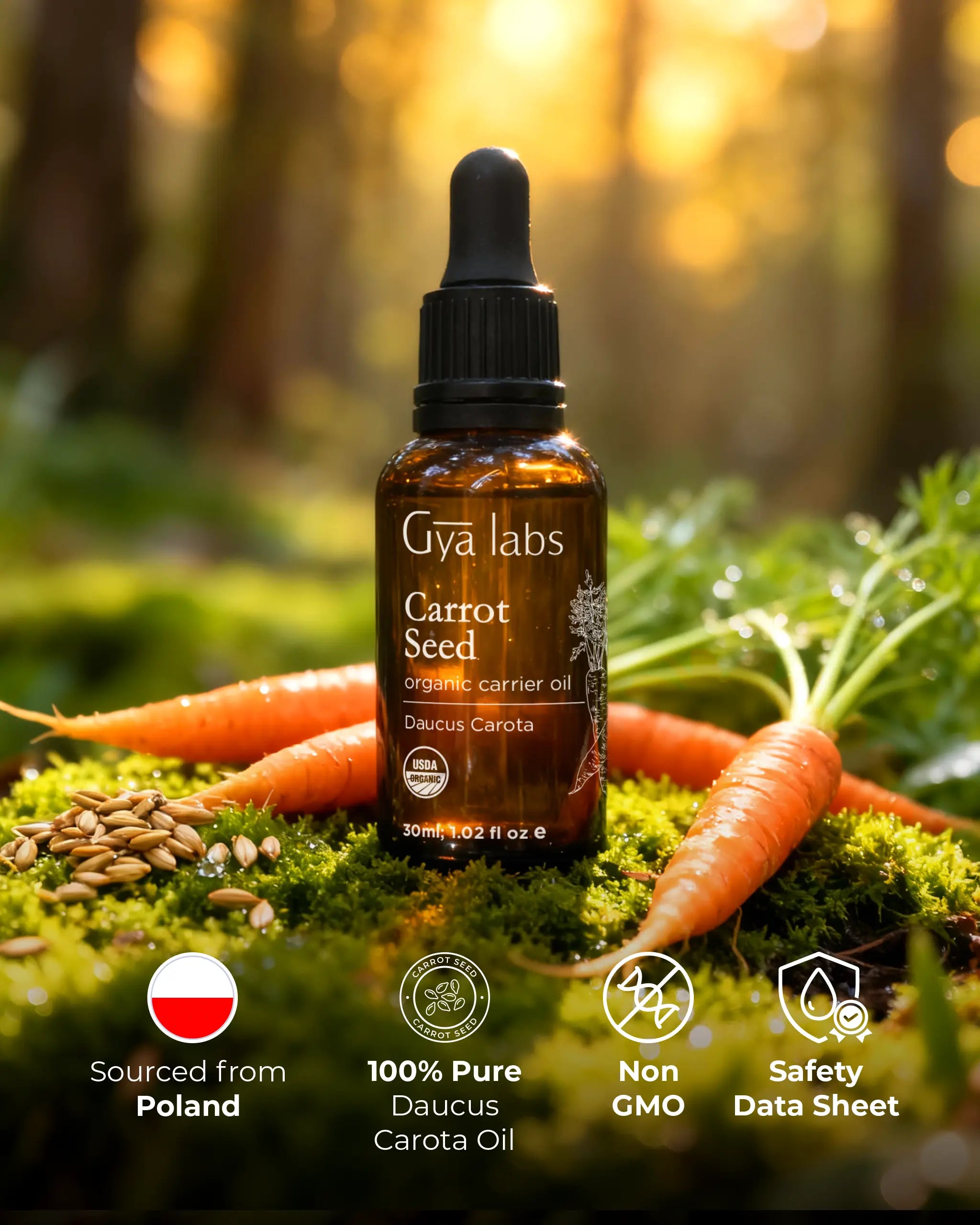 Organic Carrot Seed Oil