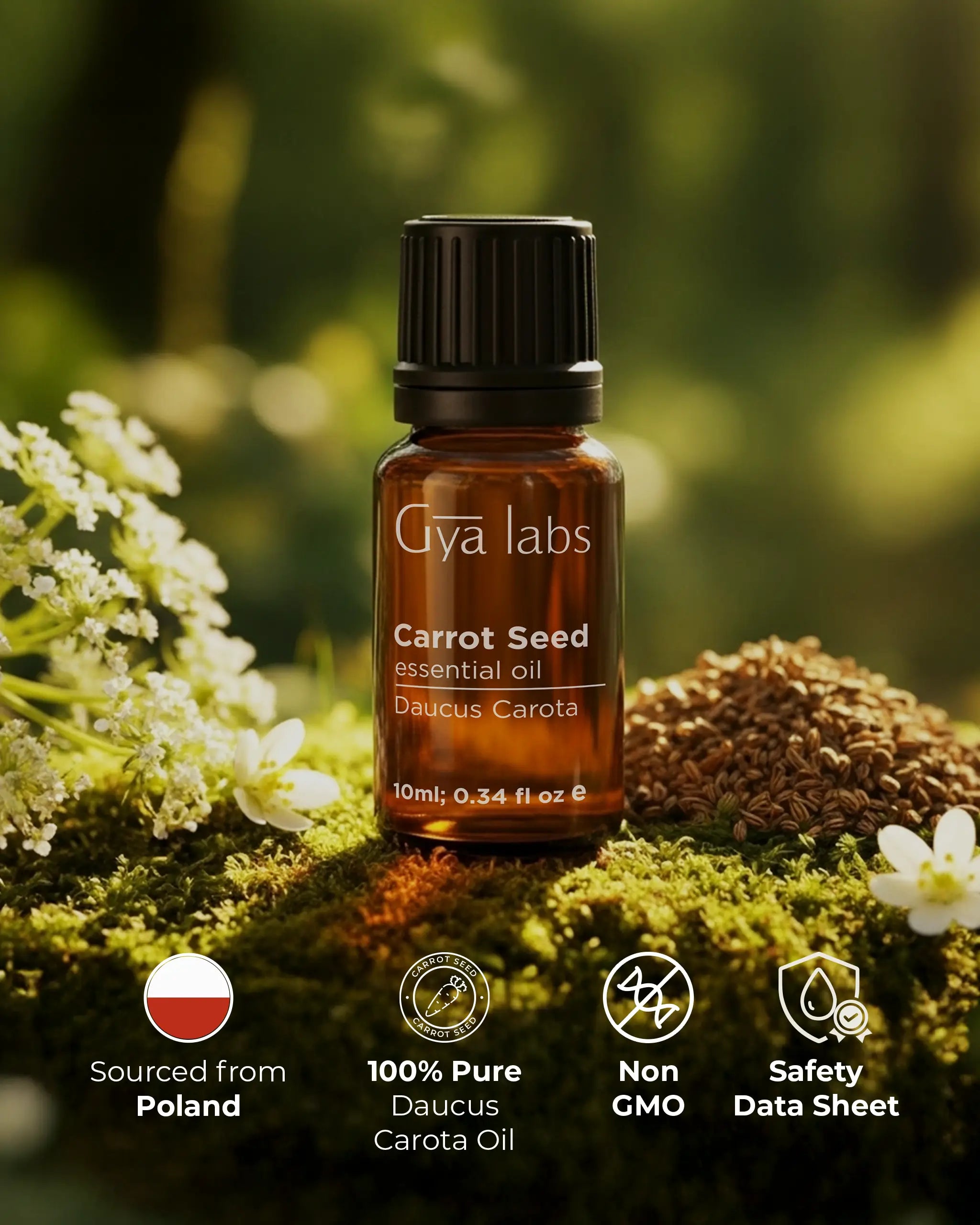 Carrot Seed Essential Oil