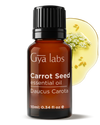 Carrot Seed Essential Oil