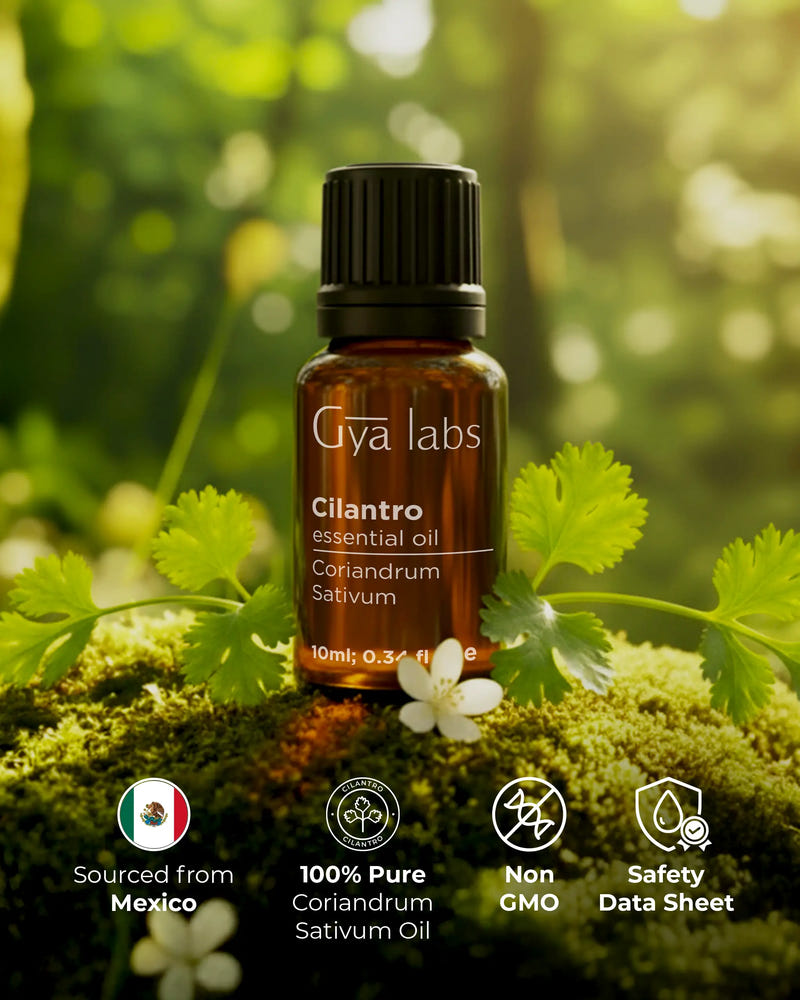 Cilantro Oil