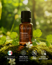 Cilantro Oil