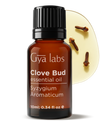Clove Bud Oil