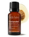 Coriander Oil