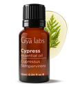 Cypress Oil
