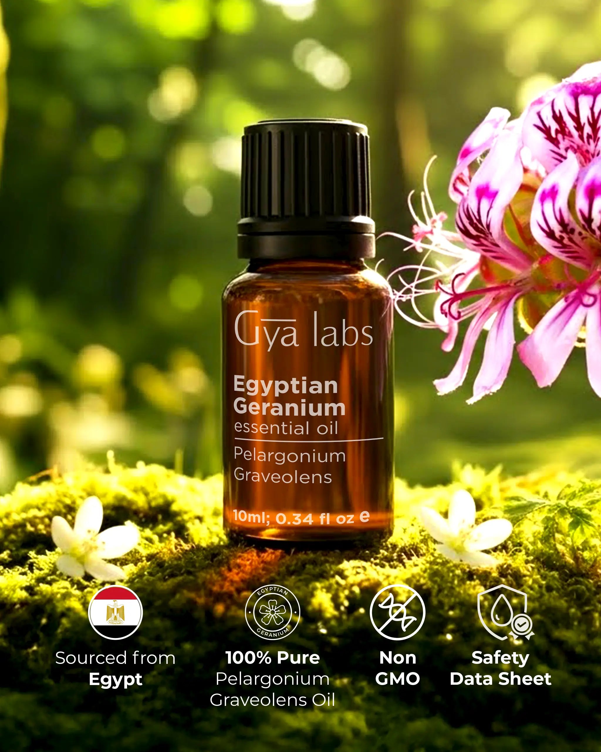 Egyptian Geranium Oil for Skincare | Gya Labs