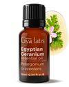 Egyptian Geranium Oil