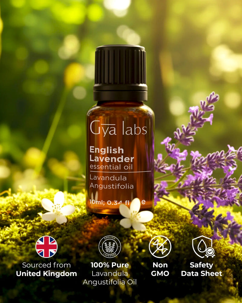 English Lavender Essential Oil
