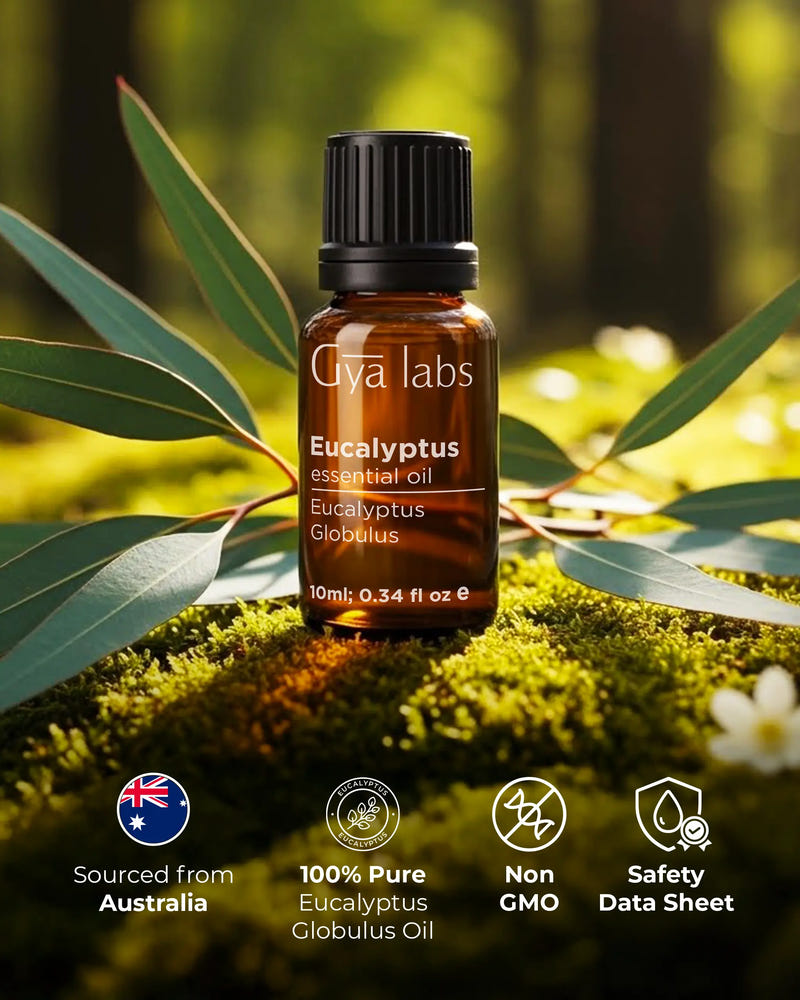 Eucalyptus Essential Oil 10ml
