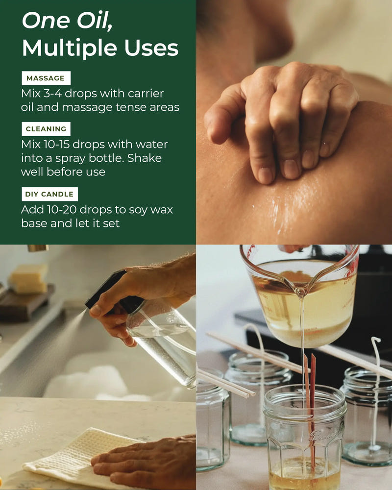 Eucalyptus Essential Oil