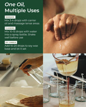Eucalyptus Essential Oil