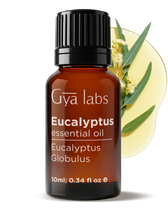 Eucalyptus Essential Oil 10ml
