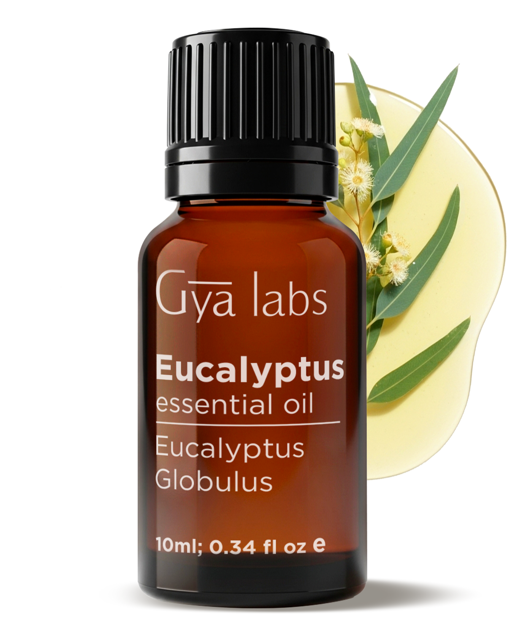 Eucalyptus Oil