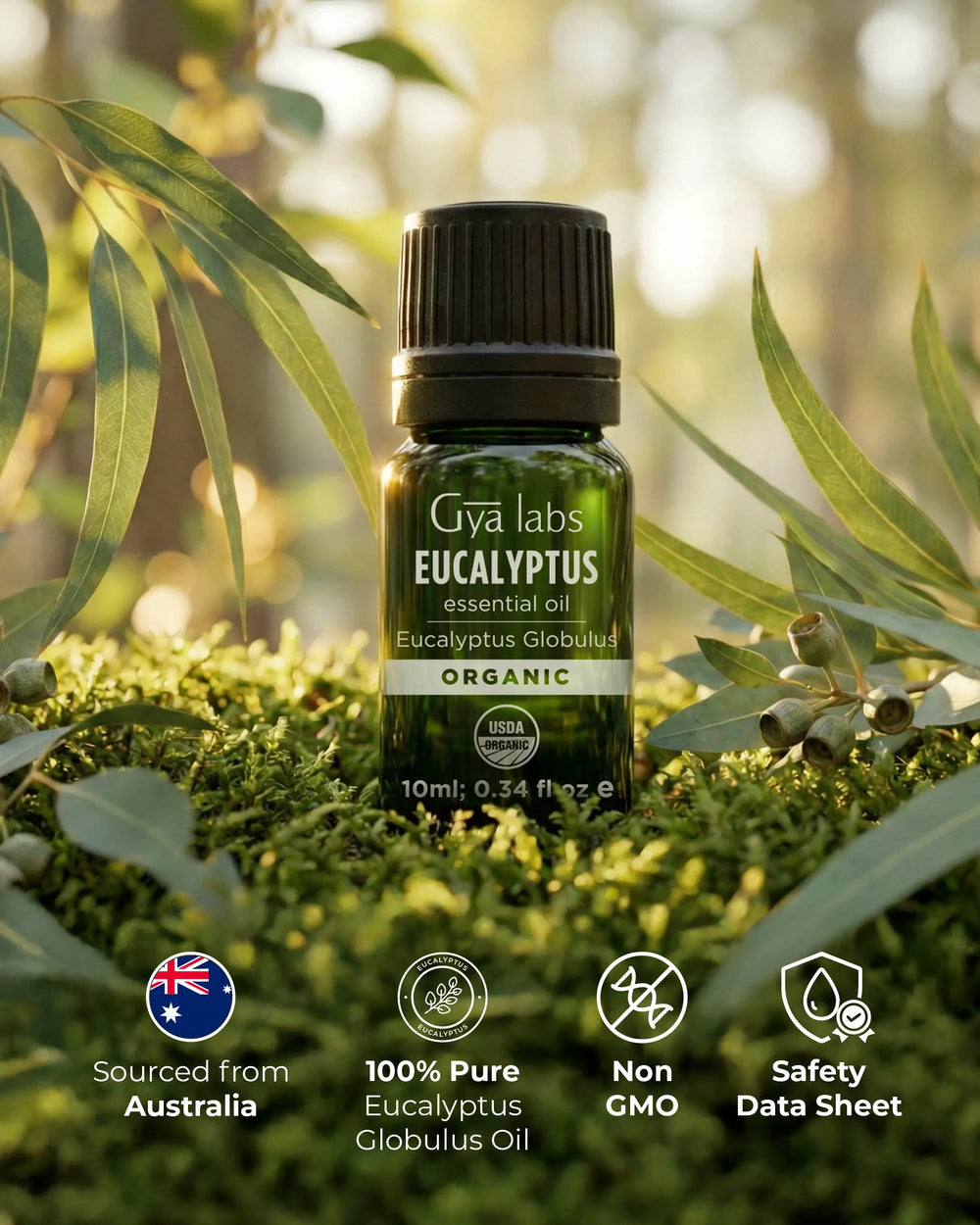 Organic Eucalyptus Oil 10ml
