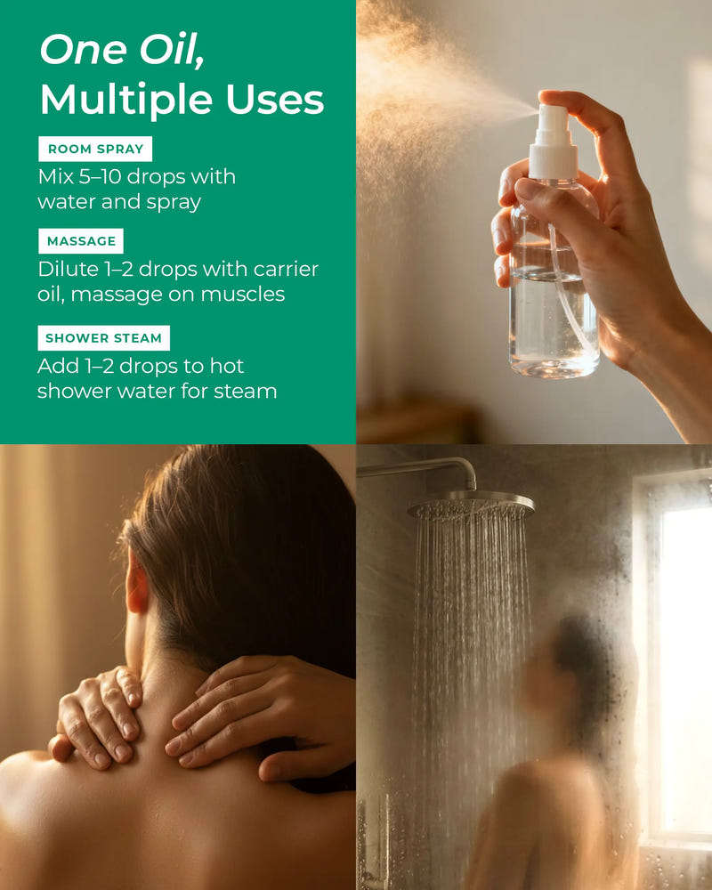 uses of Organic Eucalyptus Oil 10ml
