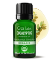 Organic Eucalyptus Oil