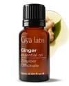 Ginger Oil