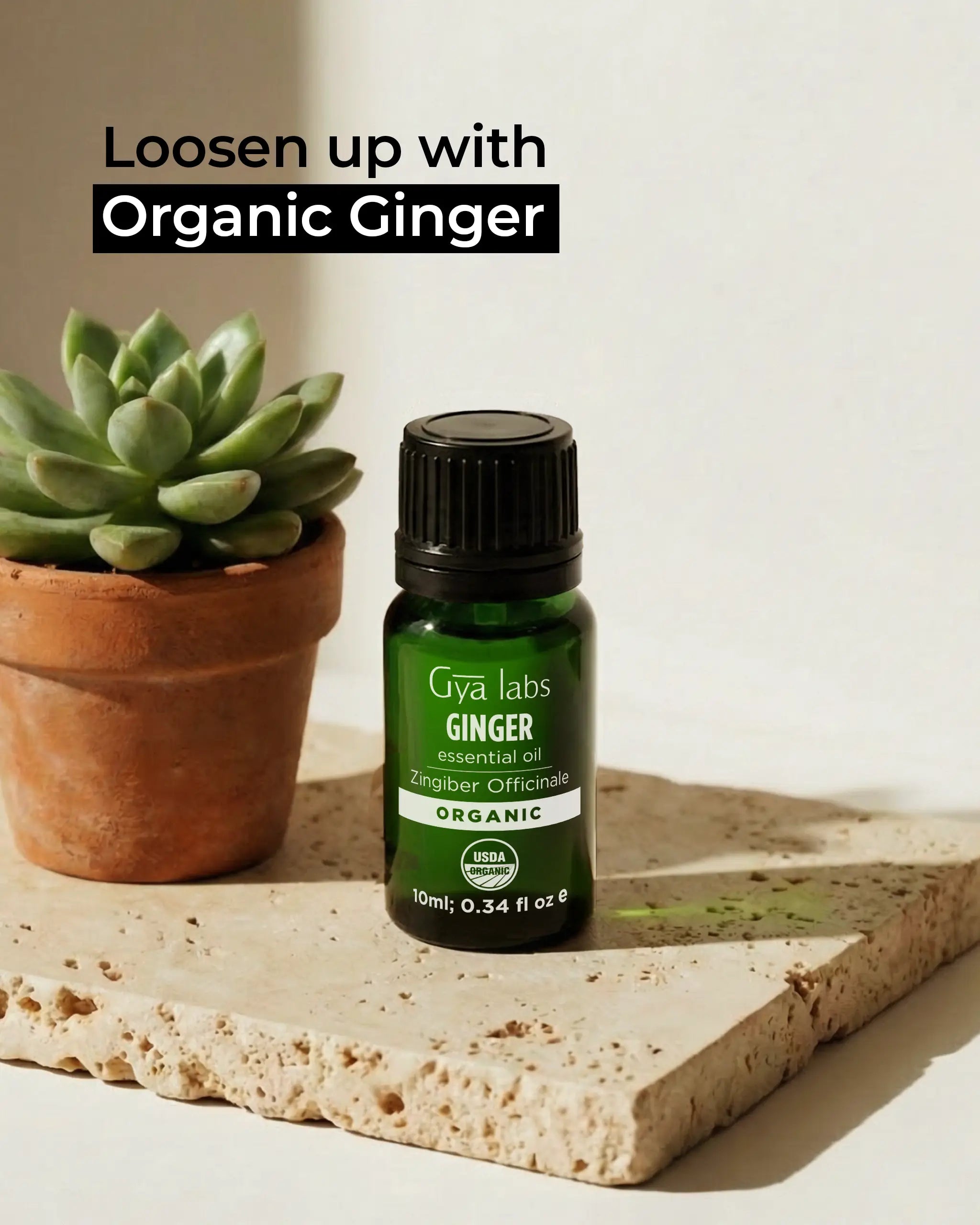 Organic Ginger Oil