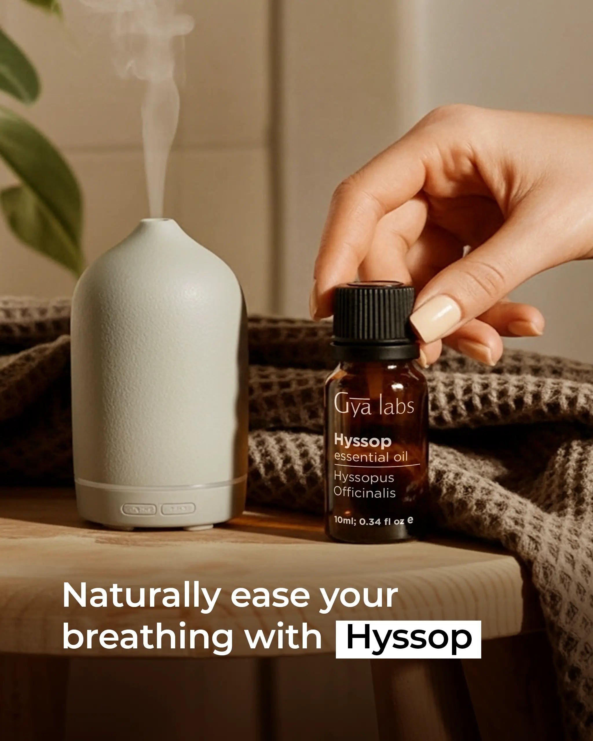 Hyssop Oil