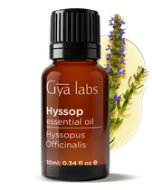 Hyssop Oil
