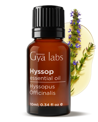Hyssop Oil