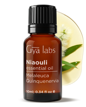 Niaouli Essential Oil