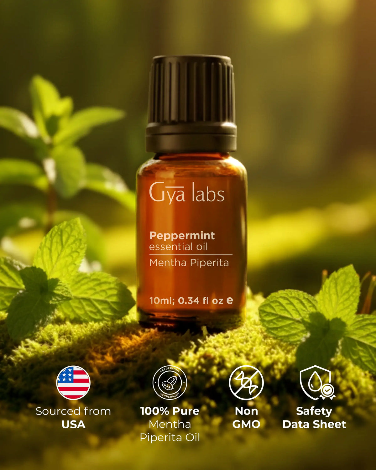 Peppermint Oil (Copy) | GyaLabs