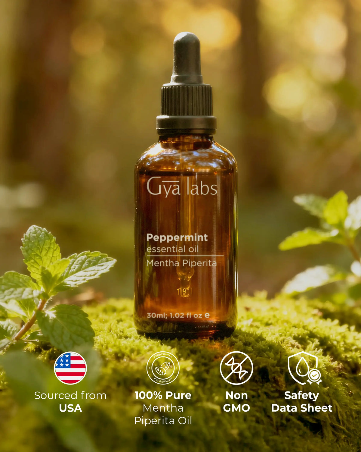 Peppermint Oil (Copy) | GyaLabs