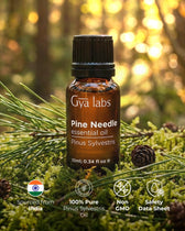 Pine Needle Oil