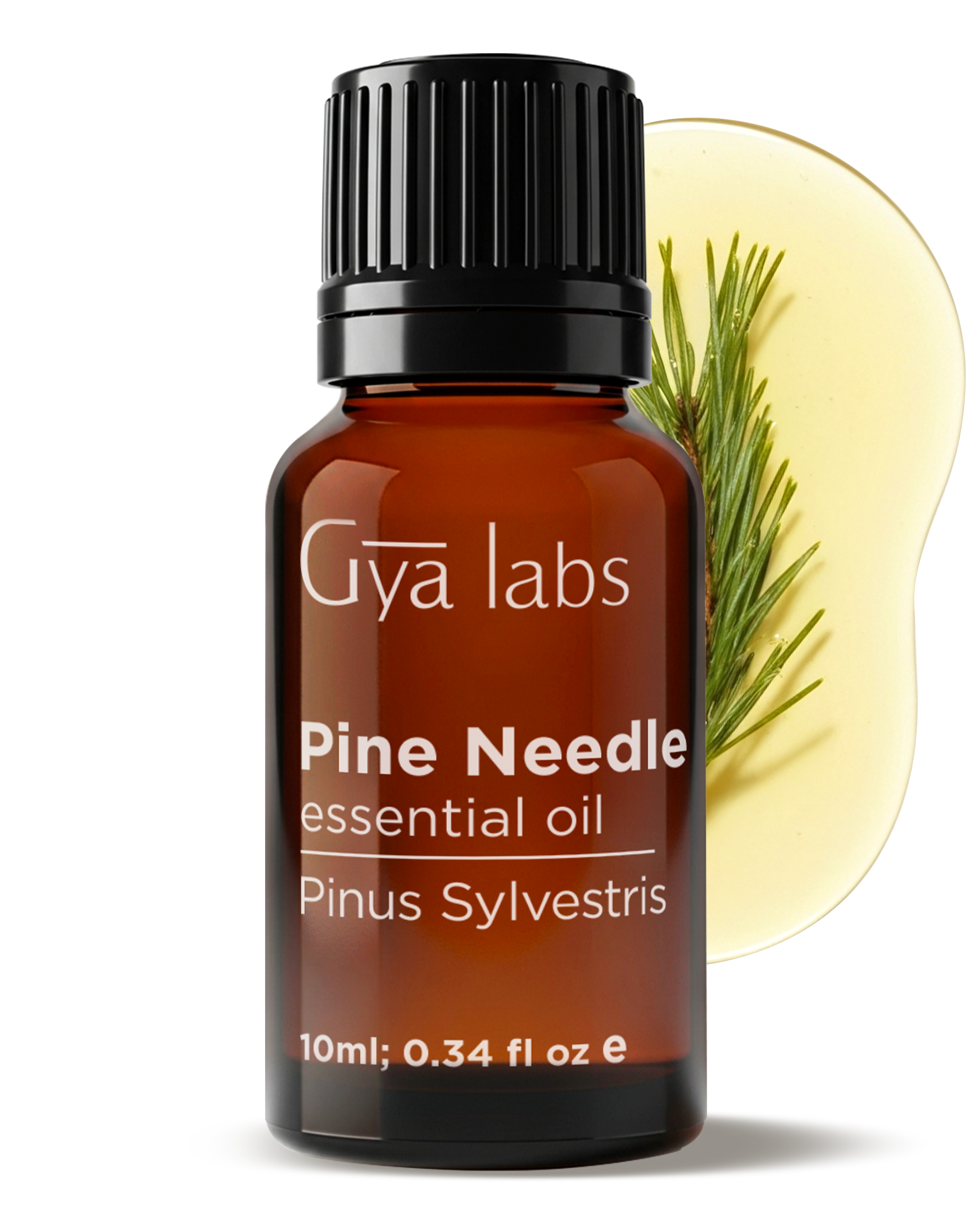 Pine Needle Essential Oil – Red Pine Needle Oil – Gya Labs