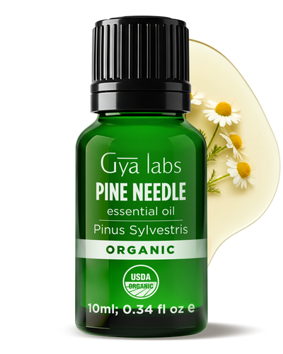 Organic Pine Needle Oil