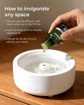 Organic Pine Needle Oil