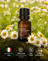 Roman Chamomile Oil