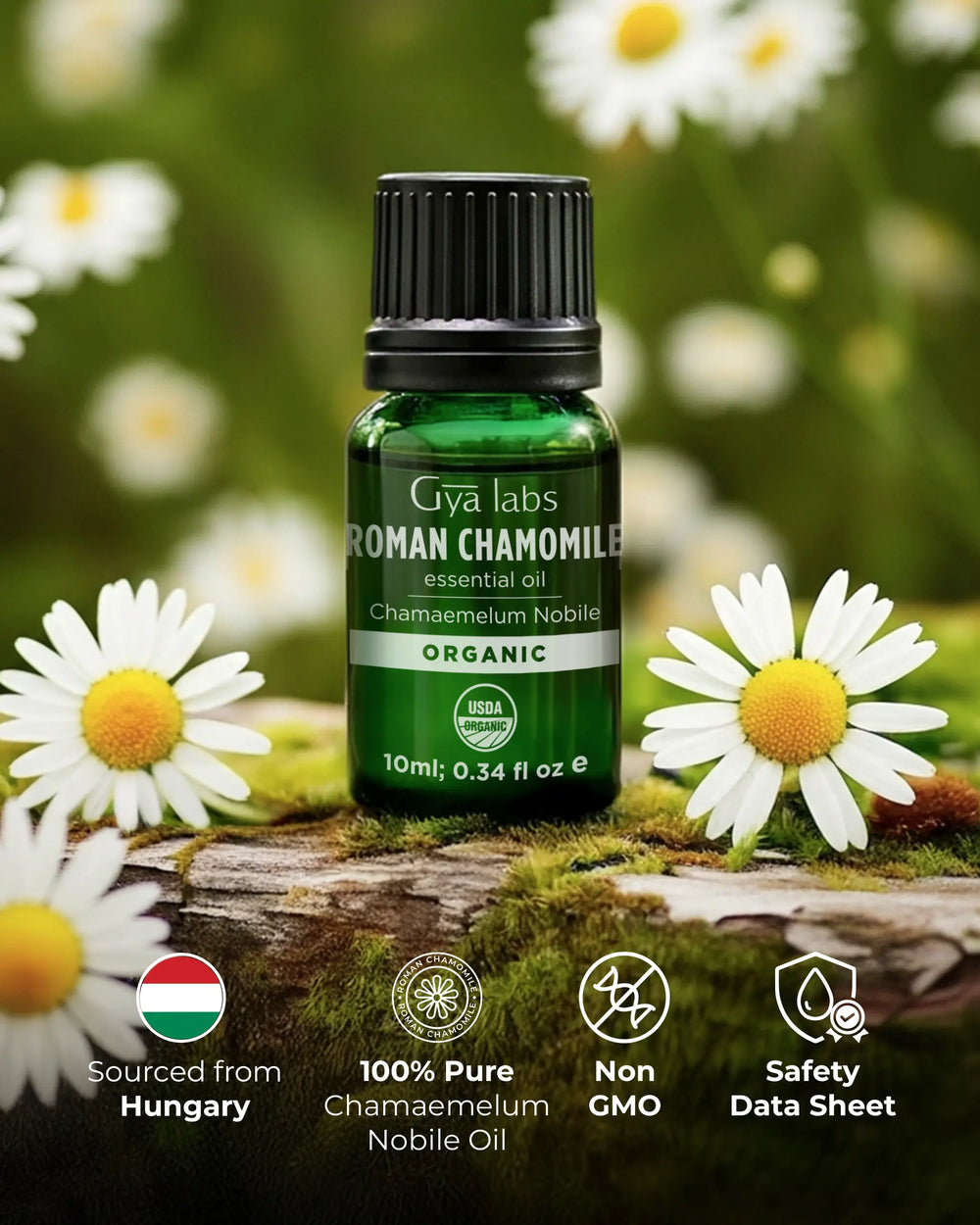 Organic Roman Chamomile Oil 
