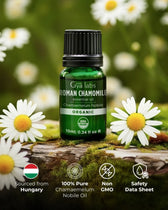 Organic Roman Chamomile Oil 
