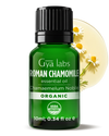 Organic Roman Chamomile Oil
