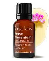 Rose Geranium Oil