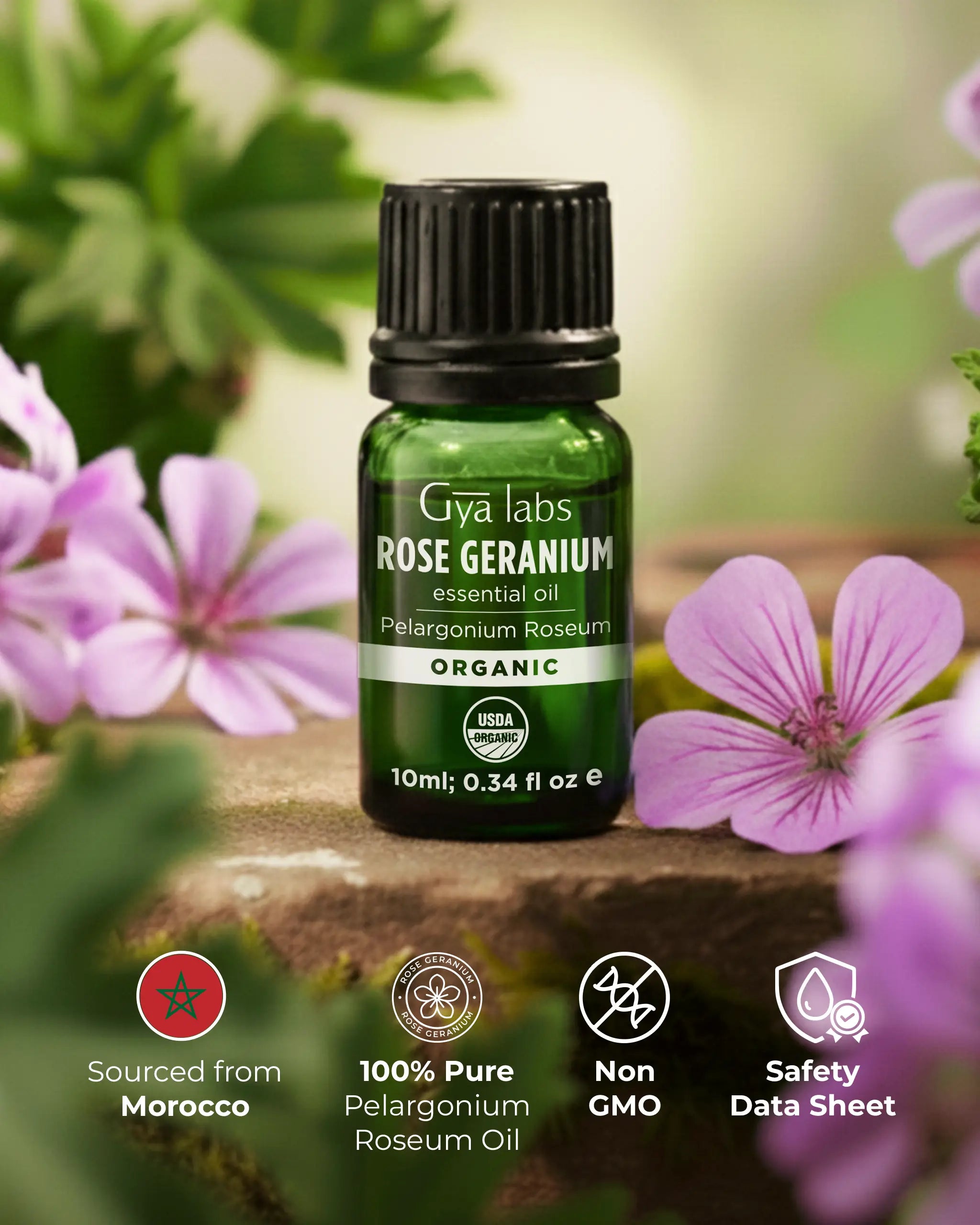 Organic Rose Geranium Oil