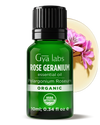 Organic Rose Geranium Oil