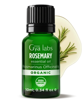 Organic Rosemary Oil 10ml
