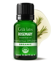 Organic Rosemary Oil