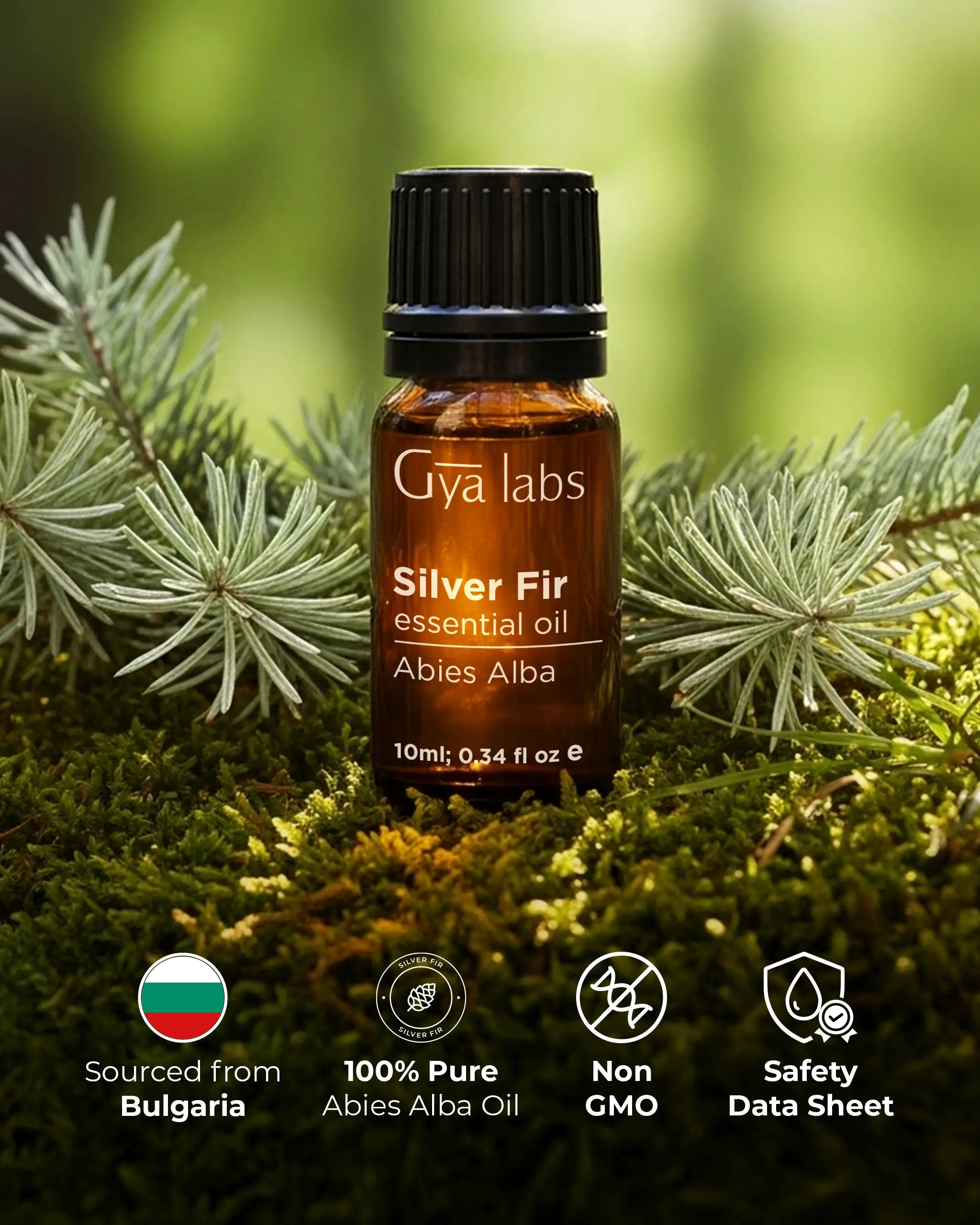 Silver Fir Oil