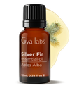 Silver Fir Oil