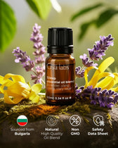 Sleep Blend Essential Oil